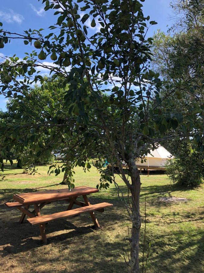 Kai Iwi Lakes Resort Kaihu Dış mekan fotoğraf
