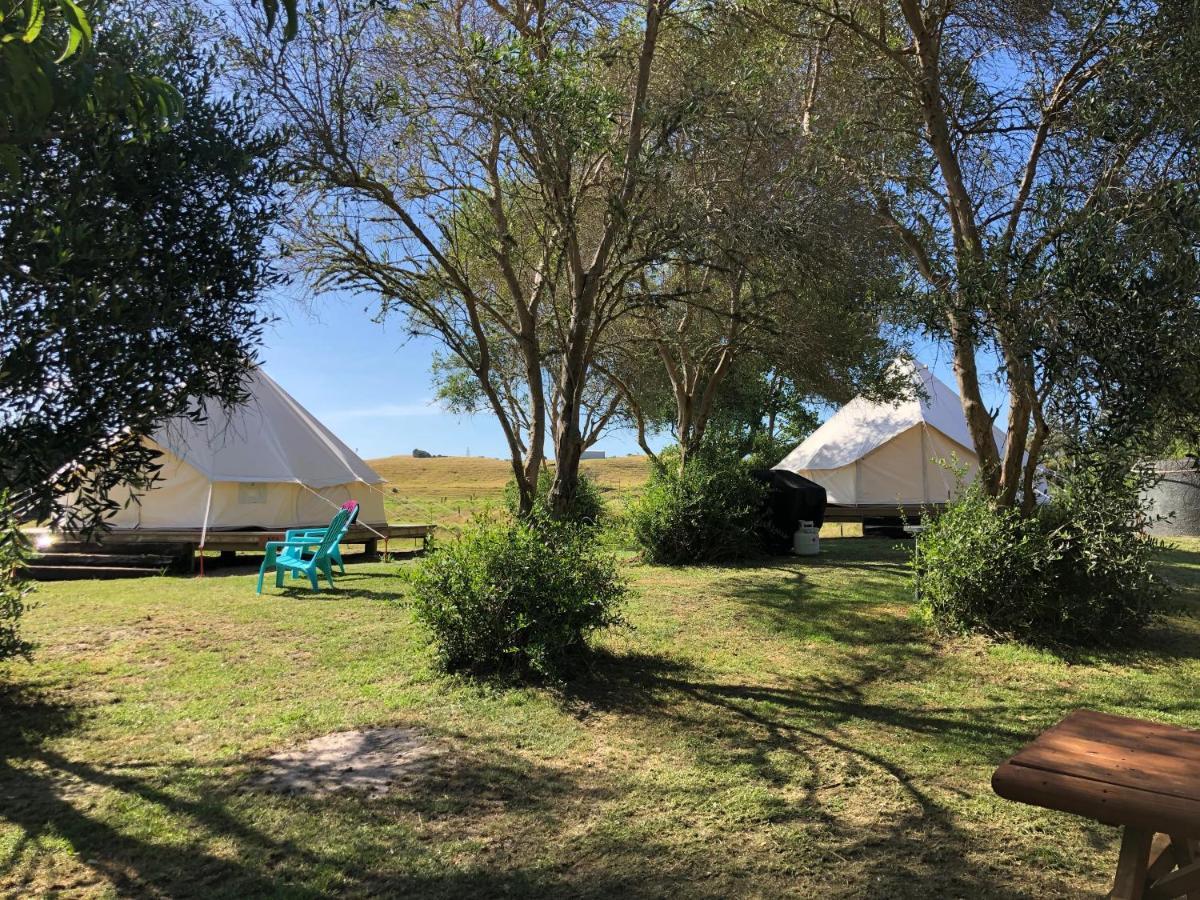 Kai Iwi Lakes Resort Kaihu Dış mekan fotoğraf